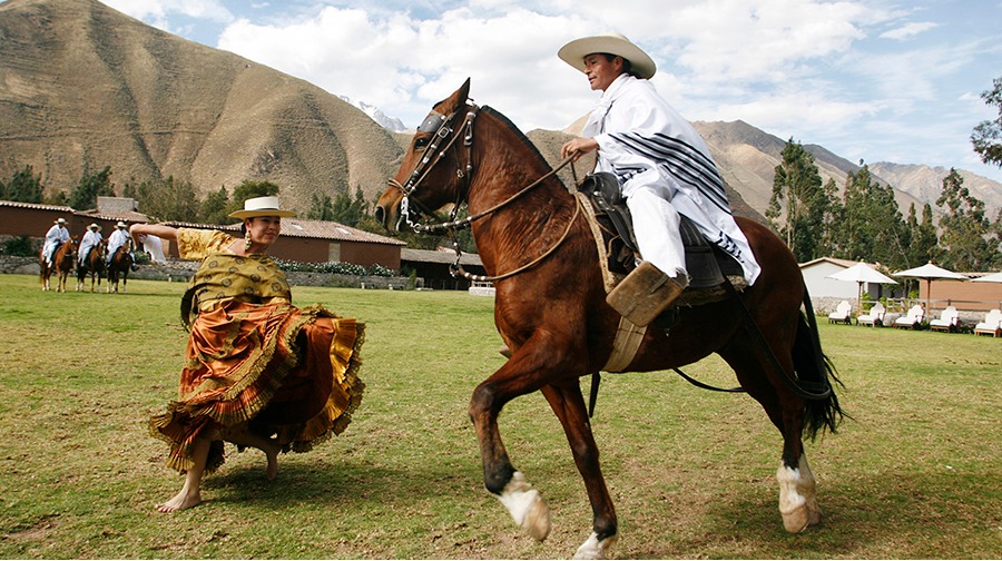 Caballo Peruano de Paso