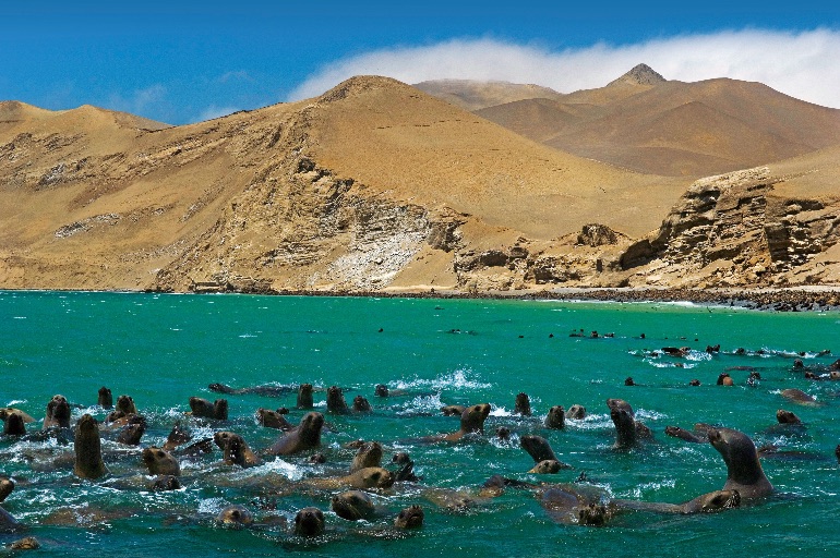 Paracas: Un paraíso natural de costa y desierto en el sur de Perú